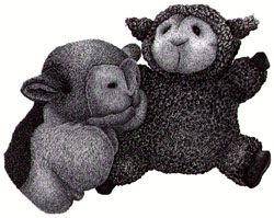 Two Sheep